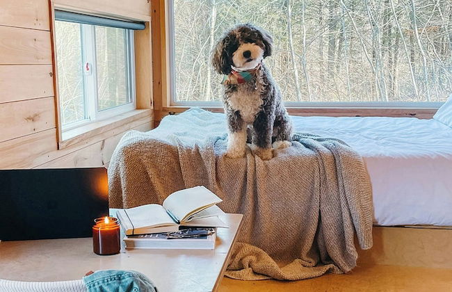 Postcard Cabins Blake Brook, Outdoor Collection by Marriott Bonvoy - Photo 10