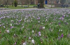 Cosy apartment in popular harbour town - Foto 30