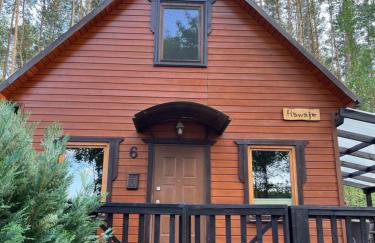 Domek całoroczny HAWAJE nad jeziorem Kazub - Foto 1