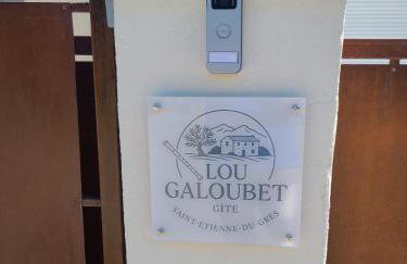 Gîte Lou Galoubet - Foto 14