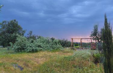 Tapada das Carvalhas - Foto 29