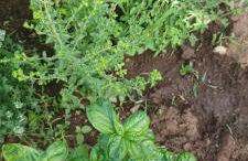 Casa do ti' Marrão - Photo 38