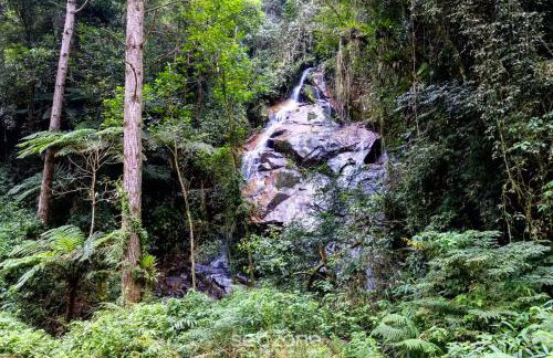 Cabana incrível p/ casais na região serrana VST011 - Photo 3