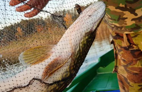 Ferienhaus Marianna am See - free Sauna, Ruderboot, Kajak & WLAN - Photo 42