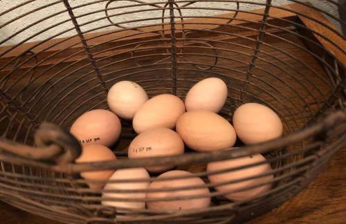 Farm House at Gray House Farm - Foto 22