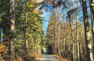 "RYVILLA" Dom na Wilkówce - Foto 30