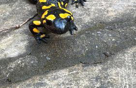 Agroturystyka u Babci - Photo 25