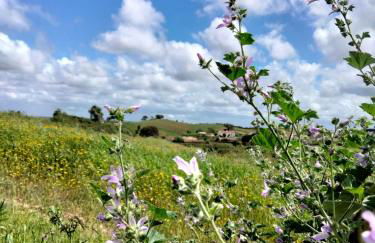 Casa do Chaparral campo e praia - Foto 16