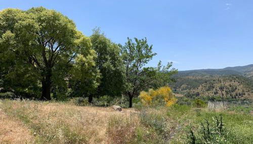 Casa Rural en Vizcable, Nerpio Albacete - Foto 3