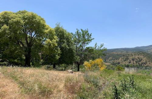 Casa Rural en Vizcable, Nerpio Albacete - Foto 3