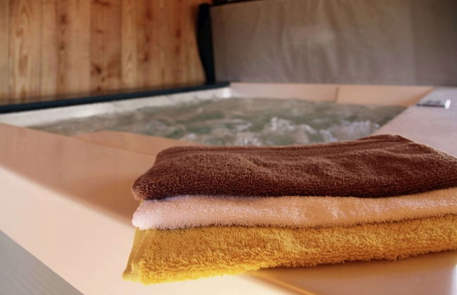 Luxury House with Indoor Pool, Sauna, Hot Tub - Foto 34