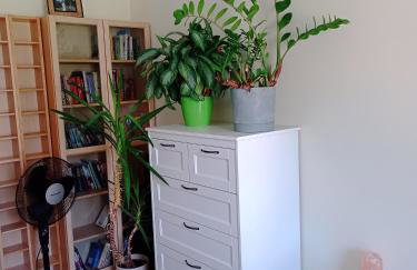 Pokoje nad Radunią - taras i ogrodek - Foto 8