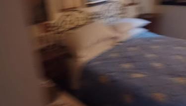 uno sguardo sulle forre di Corchiano - Foto 3