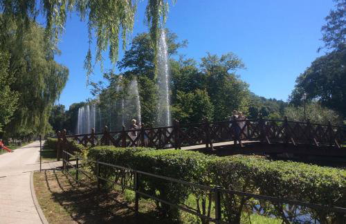 Apartament Bukowy - Foto 9