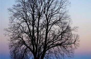 Wunderschöne Ferienwohnung am Glatzenstein im Nürnberger Land - Foto 34