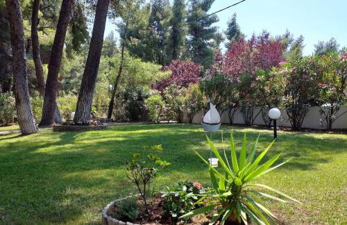 Sani villa of traditional architecture - Foto 58