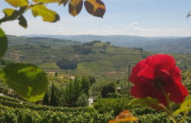 Vila Marim Country Houses - Photo 20