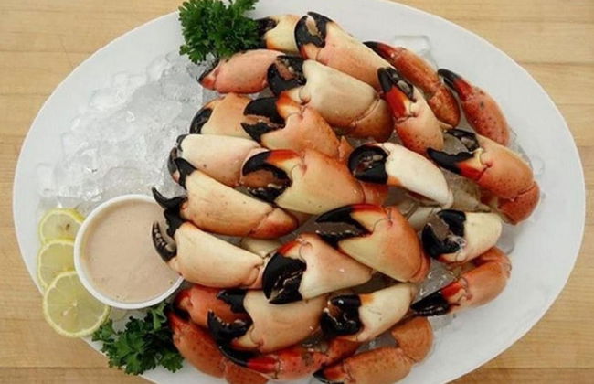 5 Beautiful 4 Bed 3 Bath Pool Home w Free Dock - Foto 34