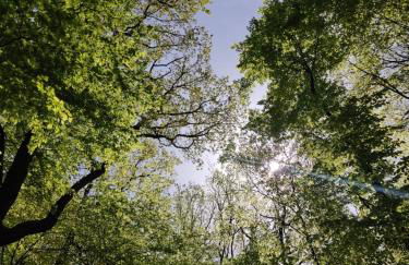 Ferienhaus Möhnetal - Foto 38