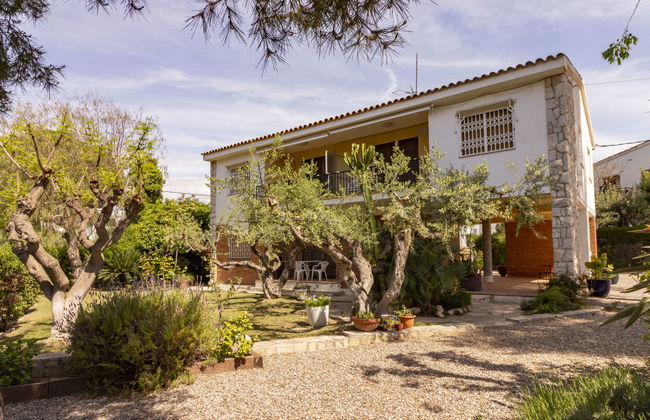 Mas Baixuli - Foto 1