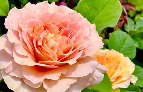 Spacious Retreat w/ Hot Tub. Perfect for Families - Photo 11