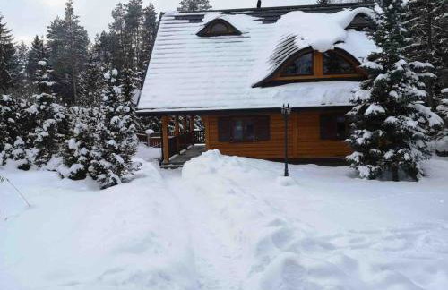 Agroturystyka Trofeum w Becejłach - Foto 29