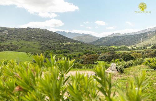 Agriturismo Bed and Breakfast Tanca Taroni - Foto 15