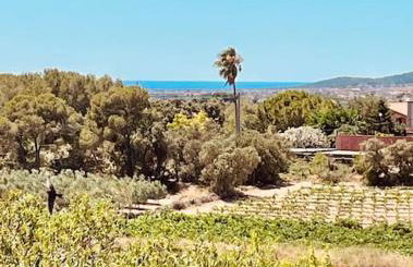 Masía entre viñedos y mar - Foto 34