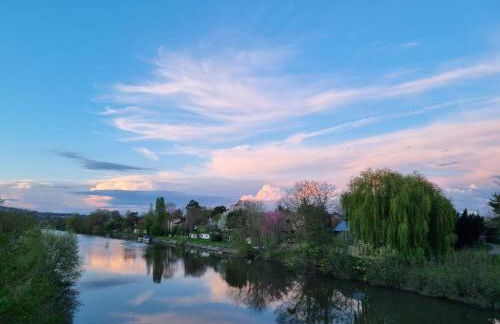 Maisonnette cosy bord de Seine 30min paris - Foto 15