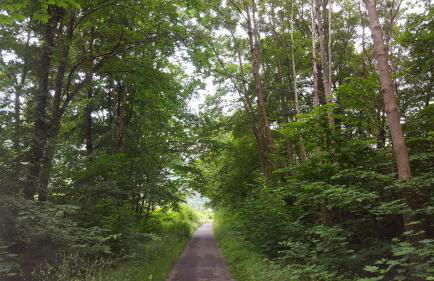 Erholung Pur bei Nina - Foto 13