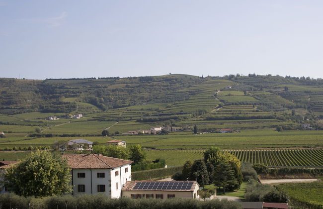 VerdeOlivo1876 - Apartments with Pool - Foto 1