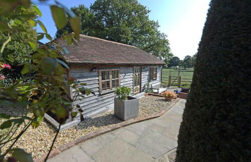 Deer Lodge with a View - Photo 14