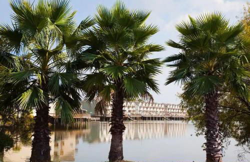 ☆Live on the Water! Lake Palmetto Palm w/ Patio - 10Min to Downtown & Beaches☆ - Foto 56