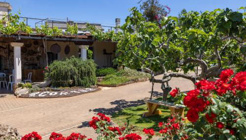 Villa Vacanze Paradiso - Oasi di Tranquillità con Piscina e Giardino a 10 min dal mare - Foto 5, Garden, Garden view