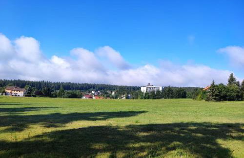 Ferienwohnung Schwarzwald Oase Kniebis - Foto 29