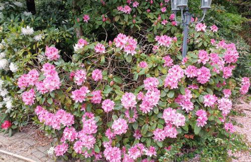 Ferienwohnung Kaminzimmer - Foto 21