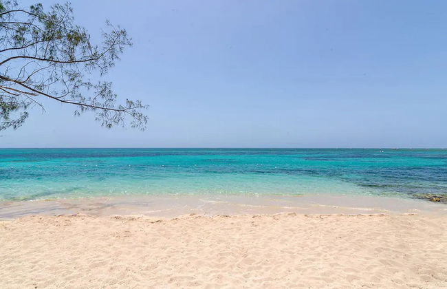 Nianna Chatham - Foto 22