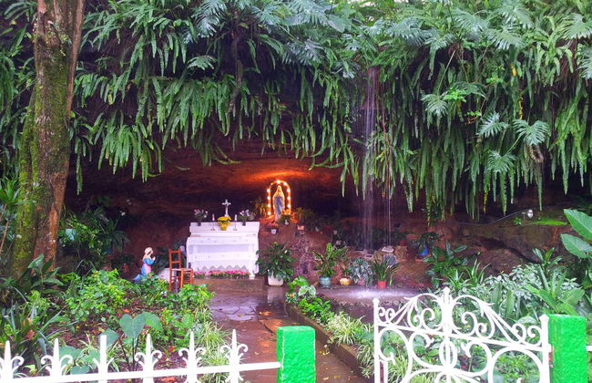 Escursione ad Antônio Prado - Foto 6