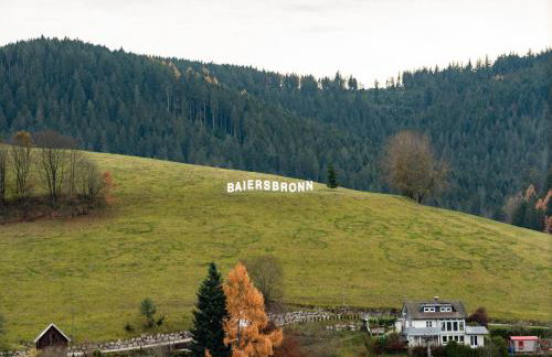 HAUS IRENE gemütlich moderner Schwarzwald - Photo 32