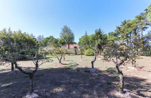 Vita Portucale ! Sintra Retreat Villa with Pool - Foto 52