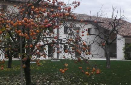 Agriturismo Caspineda - Foto 71