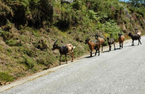 Casa de Campo Monte Abades - Foto 64