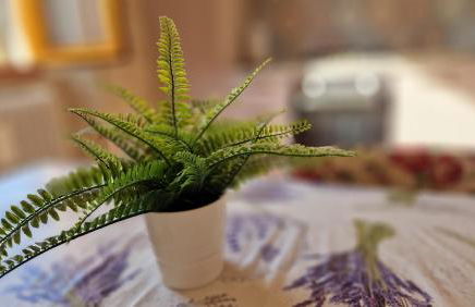 Case Tevere - Foto 36