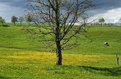 Zum Elleblick - Foto 33