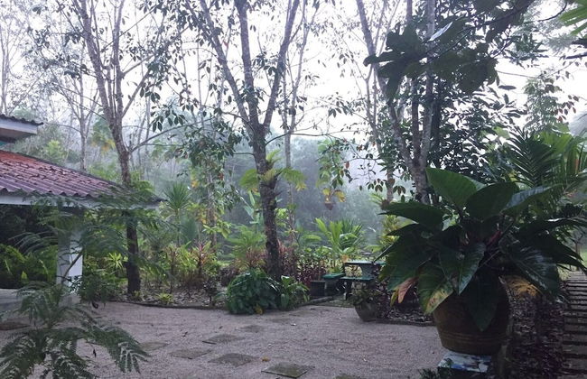 Baansuan Suksangob Farm Stay - Photo 57