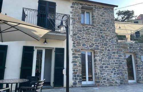 Nei castagni - Foto 3