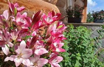 Tatra West Farm - Foto 35