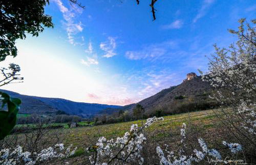 La Maison Huguétoune - Photo 21