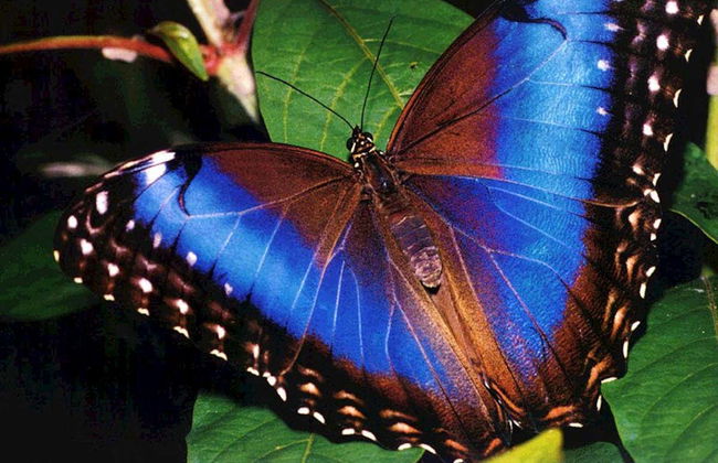 Güembé Biocentre Day Trip - Foto 1