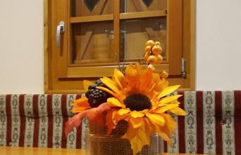 Kuća za odmor "Nedeljko"/ Holliday hause "Nedeljko" - Foto 15